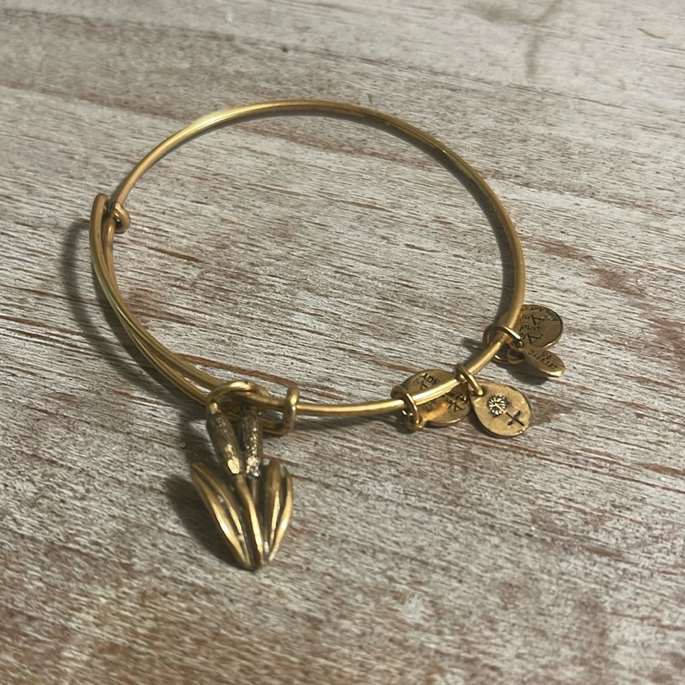 Alex and Ani Adjustable Bracelet with Corn Stalk